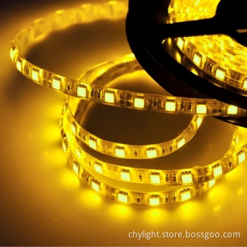 Decorative Flexible 5050 12V/24V LED Strip Light